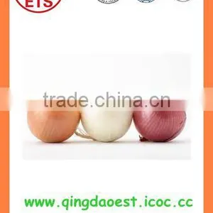 Best Quality Fresh Red/yellow Onion PRODUCTS From China With High Quality thumbnail-4
