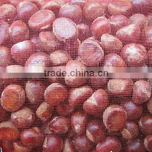 2013 Chestnut 5kg Mesh Bag Package thumbnail-1