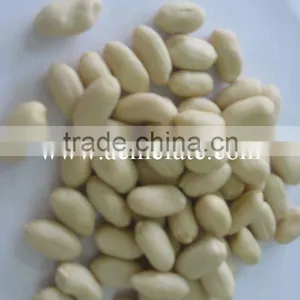 Hot Blanched Peanut Kernels thumbnail-1