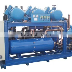 Cold Room Parallel Compressed Condensing Units for Freezer thumbnail-1