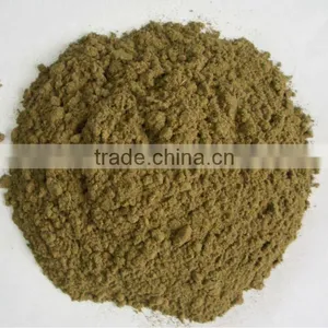 Artemisia Leaf Powder thumbnail-1