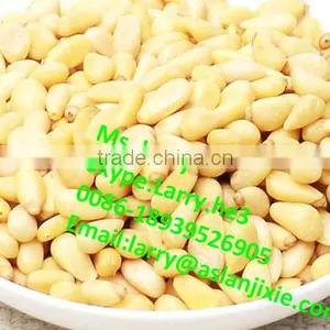 Pine Nuts Skin Removal Machine/pine Nut Kernel Peeler/pine Nuts Skin Removing Machine thumbnail-5