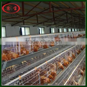 4 Tiers Chicken Layer Cage Layer Cages for Sale Chicken Egg Layer Cages thumbnail-4
