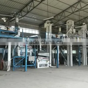 Cereal Grain Barley Seed Processing Plant (hot Sale in Australia) thumbnail-2