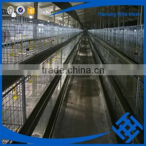 Express Poultry Battery Cage for Nigerian Farm thumbnail-6