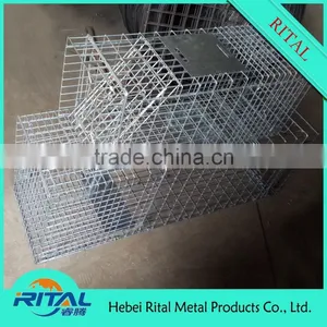Galvanized Raccoon Cage Traps for Raccoon Trapping thumbnail-5