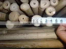 WY-221High Quality Bamboo Poles Bamboo Canes Bamboo Stakes in Raw Materials for Agriculture thumbnail-5