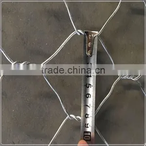 60*80 80*100mm PVC Cpated Gabion Wire Mesh / PVC Coated Gabion Box thumbnail-2