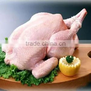 China Automatic Brine Injector for Processing Turkey thumbnail-1