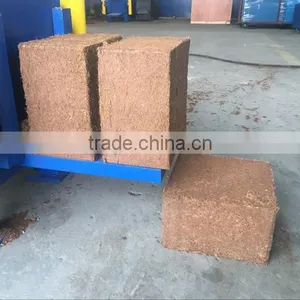 The Philippines Best Selling Coco Peat Drying Production Line for Making Coco Peat Block thumbnail-5