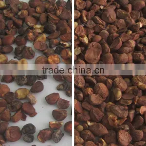 China Manufacture Automatic Agricultural Seed Color Sorter Machine With Competitive Price thumbnail-4