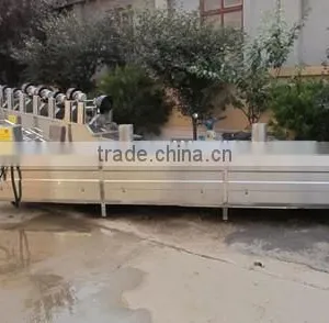 Mesh Belt Type Blanching Machine for Meat Product thumbnail-1