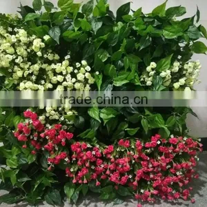 Green Plants Wall Tiles thumbnail-3