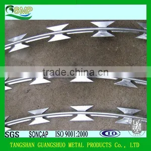 Umbrella Head Roofing Nails, Hot Sale Galvanized Roofing Nails thumbnail-4
