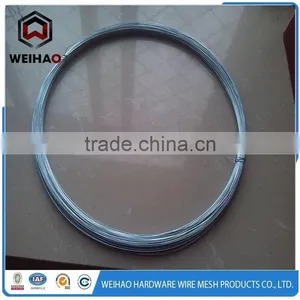 High Quality Electro Galvanized Wire thumbnail-1