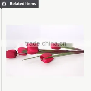 Hot Selling Tulip for Home Decoration Pieces and Valentine's Day Gift Flower thumbnail-5