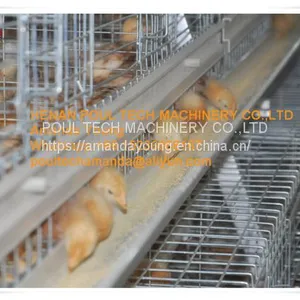 Barbados Chicken Shed A Type Automatic Small Chicken Cage & Small Layer Cage With 10000 Birds With Automatic Manure Clean Machine thumbnail-2
