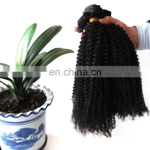 Wholesale Kinky Curly Hair Hair Extension Remy thumbnail-1