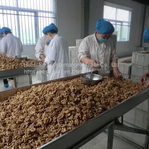 China Aaaa Cheap Quality Walnut Kernel thumbnail-3