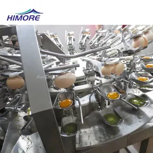 Automatic Eggs Breaking and Separating Machine for Getting Egg Yolk and White Liquid thumbnail-4
