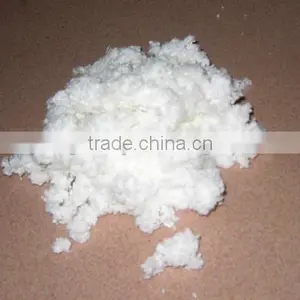 Bulk Raw Cotton thumbnail-1