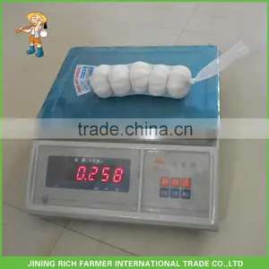 Cold Storage Fresh Garlic Stock On Sale thumbnail-1