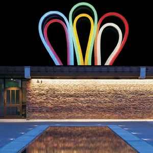 Neon Flex LED Strips 12X20mm thumbnail-2