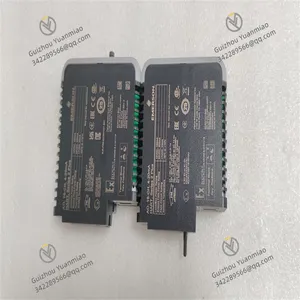 Emerson CE4005S2B4 Digital Input Module thumbnail-3
