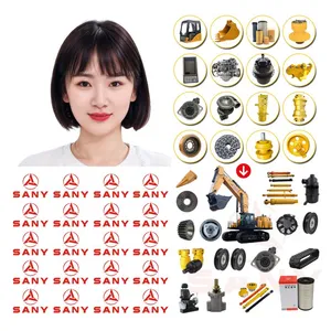 Original SANY 240601020012A Controller SY485 SY365 SY750 SY650 Excavator ECU Spare Parts thumbnail-4