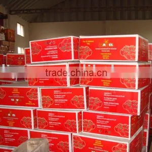 Tomato Paste Sachet Brix:28-30% 70g thumbnail-1