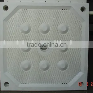 1000 Series Recessed Filtration Plate thumbnail-1