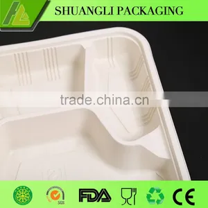 Bento Lunch Box Leakproof Eco-friendly Lunch Boxes thumbnail-4