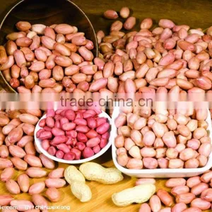 Blanched Peanut Kernel thumbnail-1