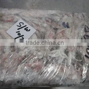FROZEN SQUID WHOLE thumbnail-1