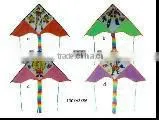 Kites thumbnail-1