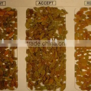 2016 With 5000+pixel Raisins Color Sorter With Fast Detection and High Identification Rate,raisins Grading Machine thumbnail-6