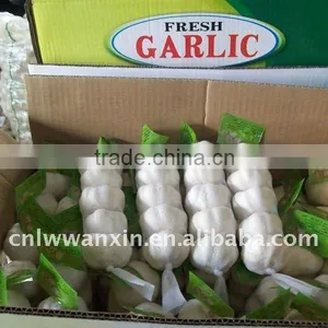 Big Size Fresh Garlic Price in October thumbnail-1