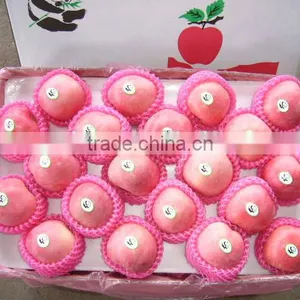 2016 New Season Fuji Apple Fruit thumbnail-2