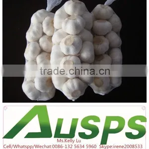 Garlic Price in China thumbnail-4