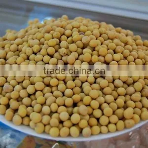 Chinese Good Quality and High Protein Soybeans thumbnail-4