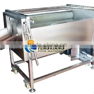 MSTP-500 Ginger Washing Machine Ginger Cleaning Machin Cassava Washing Cleaning Machine thumbnail-2