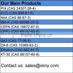 CAS 24307-26-4 Mepiquat Chloride 98% TC Plant Growth Regulator thumbnail-6
