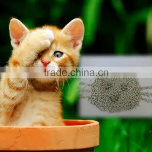 Boll Cat Toilet Litter Bentonite Cat Sand Manufacturer thumbnail-1