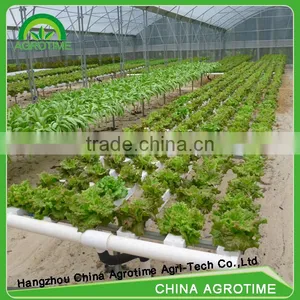 High Benefit Hydroponic Green House for Lettuce for Sale thumbnail-2