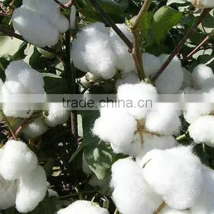 Strong Washing Line 100% Cutton 4 Strands Twisted Rope 10M thumbnail-2