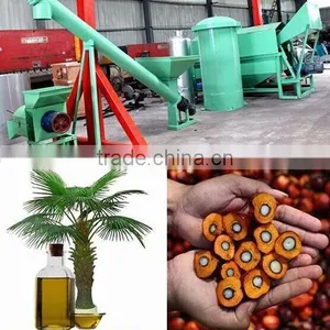 Palm Kernel Oil Processing Plant, Palm Oil Pressing Machine in Indonesia thumbnail-2