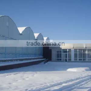 Film Greenhouse for Tomato and Other Vegetables thumbnail-3