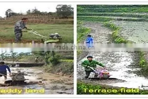 Hot Sale!13hp Diesel Gear Driving Potato Harvester With Top Spare Parts thumbnail-2