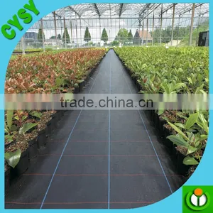 Weed Barrier Cloth,ground Covering Woven Fabric,agricultural Plant Anti Root Weed Mat thumbnail-3