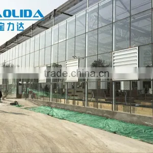 Multi-span Glass Tunnel Greenhouse thumbnail-3
